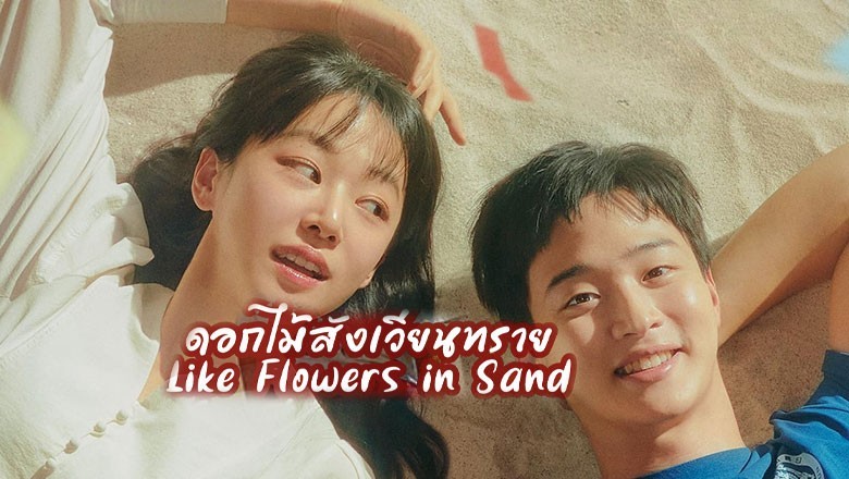 ซีรี่ย์เกาหลี ดอกไม้สังเวียนทราย Like Flowers in Sand ซับไทย EP.1-12 จบ