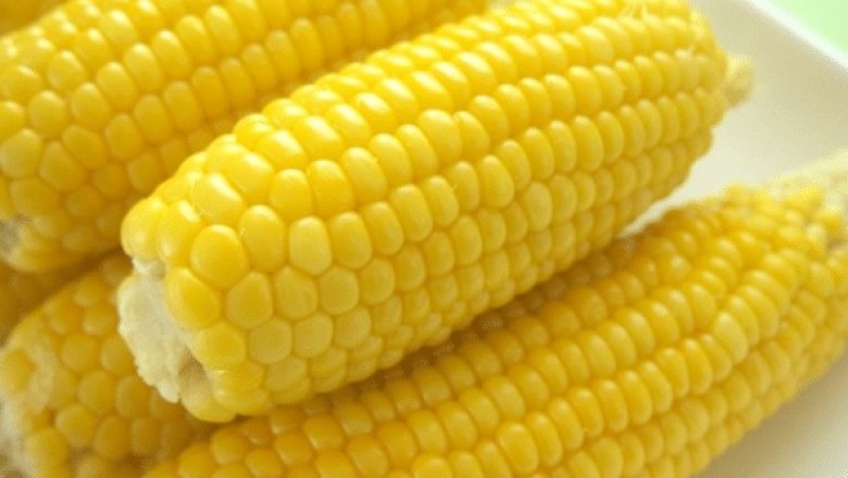 มากินข้าวโพดสุกล้างพิษกันเถอะ