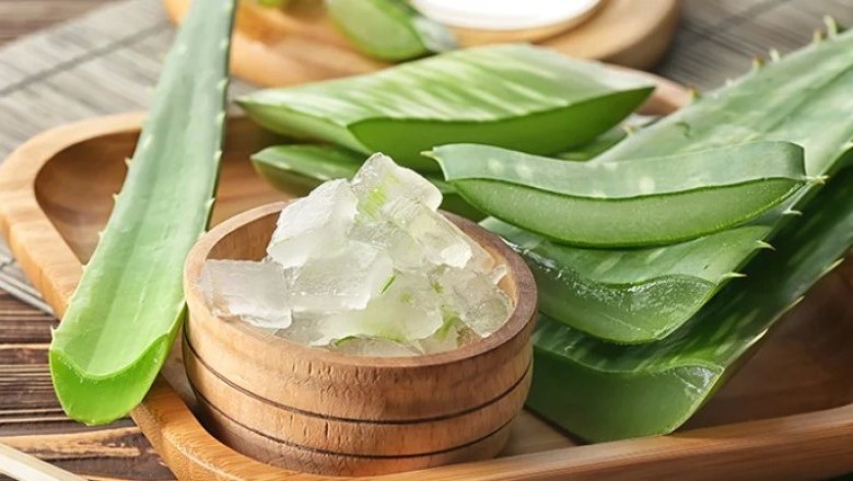 7 คุณประโยชน์ของเจลว่านหางจระเข้ที่คุณอาจยังไม่รู้