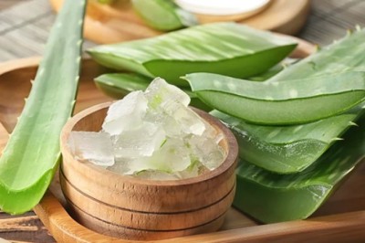 7 คุณประโยชน์ของเจลว่านหางจระเข้ที่คุณอาจยังไม่รู้