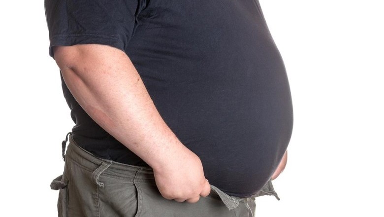 อ้วนลงพุงเหตุทำสมองเสื่อม