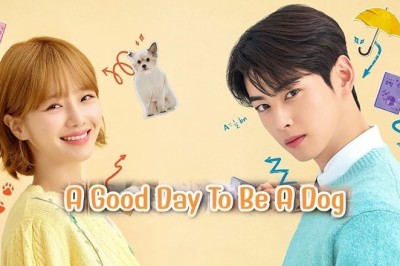 ซีรี่ย์เกาหลี A Good Day To Be A Dog (2023) ซับไทย EP.1-14 จบ