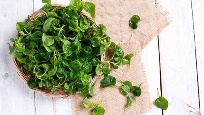 กันป่วยหลังออกกำลังกายกินวอเตอร์เครสสิคะ