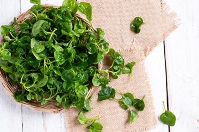 กันป่วยหลังออกกำลังกายกินวอเตอร์เครสสิคะ