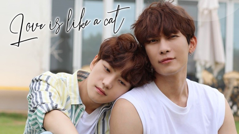 ซีรี่ย์วาย รักนี้ หมาหรือแมว Love is Like a Cat (2024) ซับไทย EP.1-12 จบ