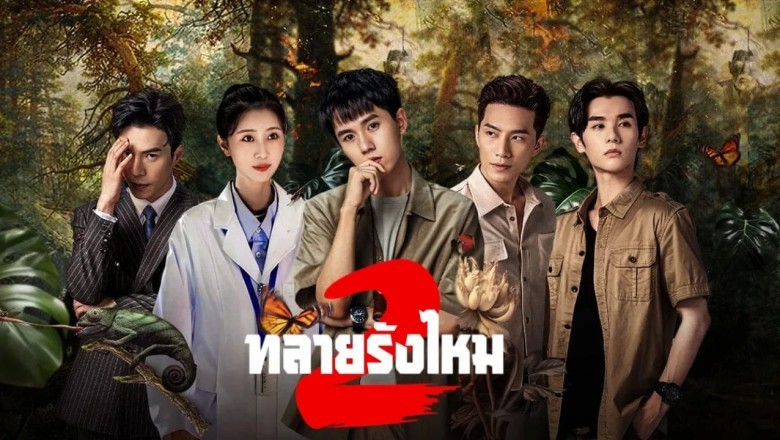 ซีรี่ย์จีน ทลายรังไหม ซีซั่น 2 Insect Detective 2 (2024) ซับไทย EP.1-26 จบ