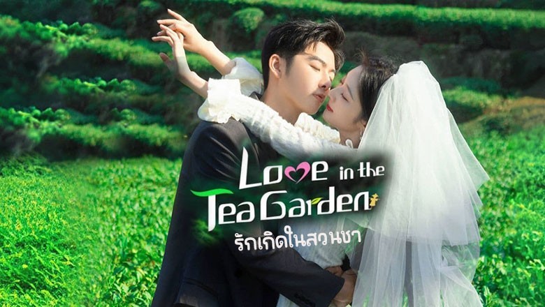 ซีรี่ย์จีน รักเกิดในสวนชา Love in the Tea Garden (2024) ซับไทย EP.1-24 จบ