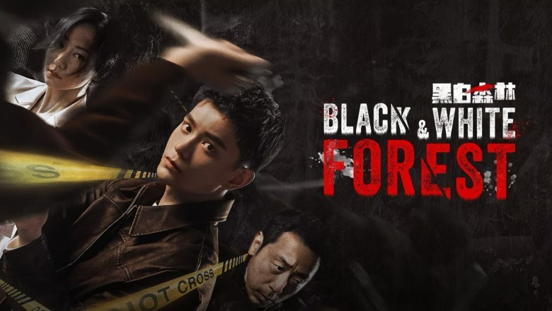 ซีรี่ย์จีน ปมปริศนาป่าซ่อนเงื่อน Black and White Forest (2024) ซับไทย EP.1-28 จบ